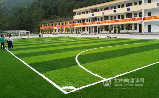 人工草坪足球場價(jià)格由什么決定
